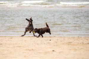 Thierry ANDRÉ - VO PHOTOS