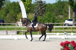 Elisa MARCATO - EA.FLASH